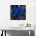 thumbnail image 2 of ARTCANVAS Navy Blue Rose Flower In Garden Canvas Art Print - Size: 18" x 18" (1.50" Deep), 2 of 9