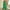 02 Green, variant on Weiqiqre Womens Athletic Shorts Summer Comfy Casual Sleeveless Romper Loose Adjustable Strap Shortalls with Pockets