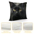 thumbnail image 4 of Patifu   Cute Black Cat Throw Pillow Covers  ,Black Kitten Kitty   Cushion Cases Decorative Pillow Cases for Couch Sofa Bedroom 12x12in, 4 of 5