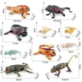 thumbnail image 6 of Hevirgo Reptile Statue Model Simulated Cute Lizard Chameleon Bearded Dragon Solid Model Decoration PVC Reptile Amphibian Figurine Ornament Educational Toy, 6 of 8