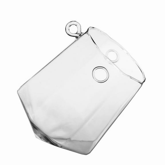 WGV Clear Octagonal Frameless Geometric Glass Terrarium - 4" x .5" Wide x 6" Height, Good quality, Heavy Weighted Base - 1 Pc