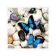 thumbnail image 1 of Mariposa animales taladro completo DIY diamante pintura de diamantes de imitación hecho a mano 5D bordado costura punto de cruz Scienceny JJ13321-00, 1 of 6