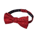 thumbnail image 3 of Jacob Alexander Men's Red Floral Roses Flowers Design Traditional Freestyle Self-Tie Bow Tie - Red, 3 of 5