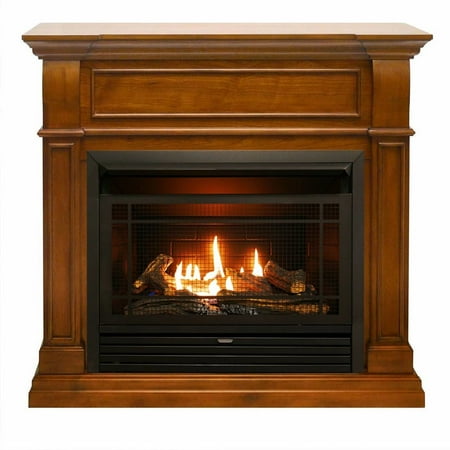Gas Fired Fireplace Inserts Duluth Forge Dual Fuel Ventless Gas Fireplace - 26,000 BTU, Remote Control, Apple Spice Finish ()