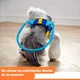 thumbnail image 5 of Arnés Protector Para Perros Ciegos Anticolisión Talla L, 5 of 7