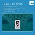thumbnail image 2 of Arnés para perros RC Pet Products Step in Cirque XX-Small, rojo, 2 of 7