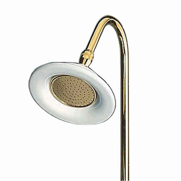 Shower Head Bright Solid Brass 6.5"D Showerhead Only | Renovator's Supply