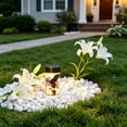 thumbnail image 6 of PEIBang Patriotic Solar Light Outdoor Decorations,American Flag Eagle Solar Light Waterproof LED Lighting for Garden Lawn Grave Decorations, 6 of 6
