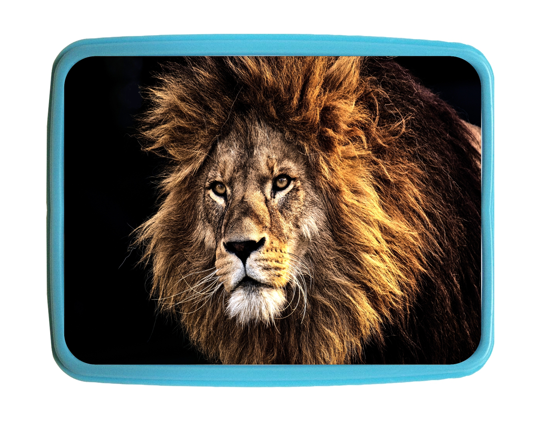 lion bento box –