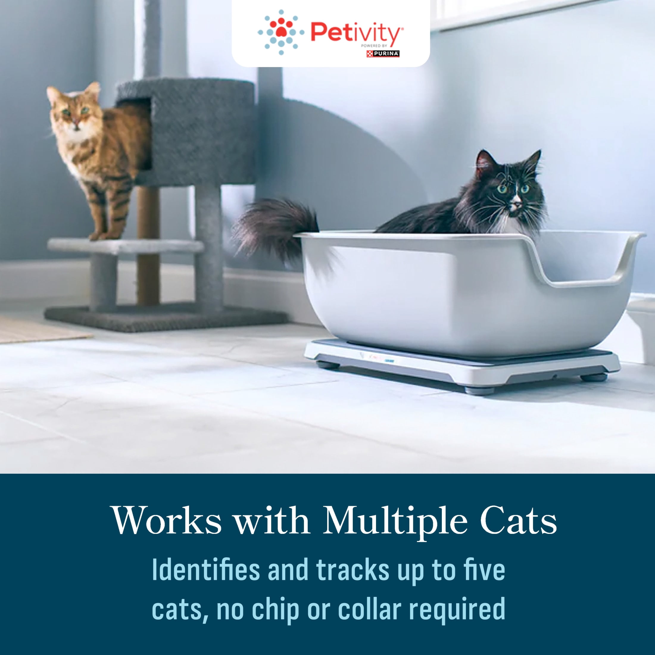 Purina Petivity Health Monitoring Cat Litter Box Small System, 5.5 lb. Box