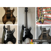 WL Style Build Your Own Guitar Kit