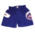 thumbnail image 1 of New York Mets Little Boys' Bathing Suit Swim Trunks - Blue - 3T, 1 of 1