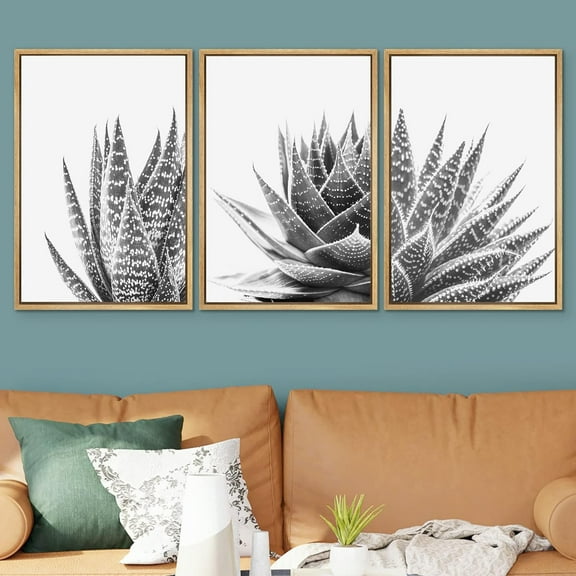 PixonSign Framed Wall Art Set Trio of Zebra Succulents Floral Plants Photography Canvas Prints Minimalist Modern Art Decorative for Living Room, Bedroom, Office - 24"x36"x3 Natural