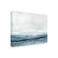 thumbnail image 4 of Trademark Fine Art Dan Hobday Water Canvas Wall Art, 4 of 4
