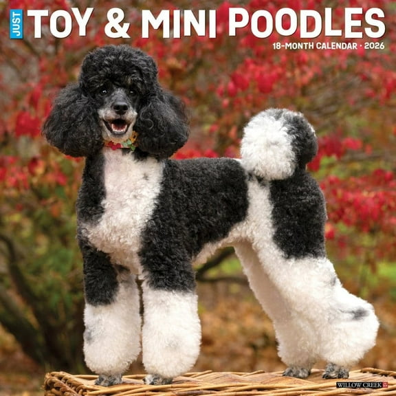 Willow Creek Press, Toy and Miniature Poodles 2026 Wall Calendar, 12'' X 12'', 18-Month Calendar with Stapled Binding