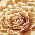 thumbnail image 1 of KAS Oriental Rugs, Inc. Corinthian 5338 Ivory Floral Splendor Size 2'3" x 3'3", 1 of 1