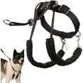 thumbnail image 2 of Sporn No Pull Training Dog Halter Harness for X-Large Dogs, Adjustable Reflective Walking Halter, Black, 23–33"" Neck, 2 of 11
