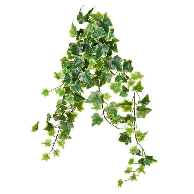 Vickerman 28" Varigated Green Ivy Hanging Bsh 2/Pk - FZ190228