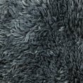 thumbnail image 1 of Soft Fluffy Area Rug, Washable Silk-Wool PV Fleece, Non-Slip, Family and pet Friendly Living Room Rug (Dark Grey,24×36 inch), 1 of 1