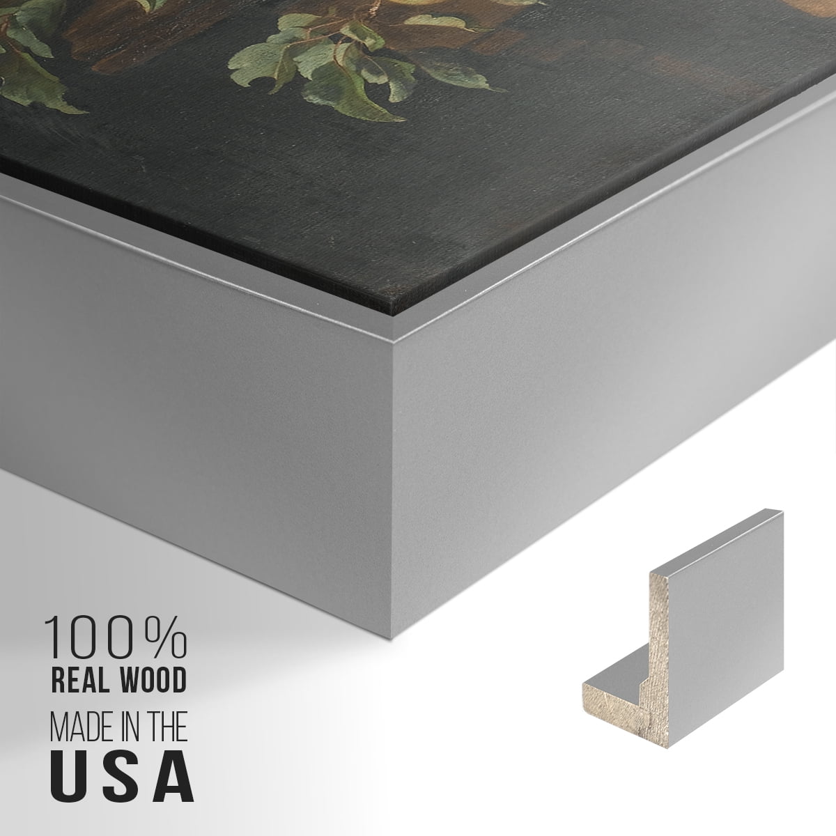 Vintage Botanical Print-LXXIII By Wexford Home Framed in Silver Wood Gallery Wrapped Canvas 27 in. x 41 in.