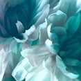 thumbnail image 2 of Pollard, David 12x12 White Modern Wood Framed Museum Art Print Titled - Chrysanthemum XIV, 2 of 4