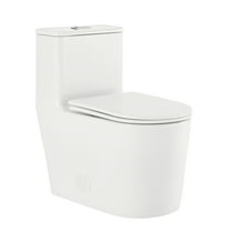 Nice One-Piece Elongated Toilet Dual-Flush 1.1/1.6 gpf