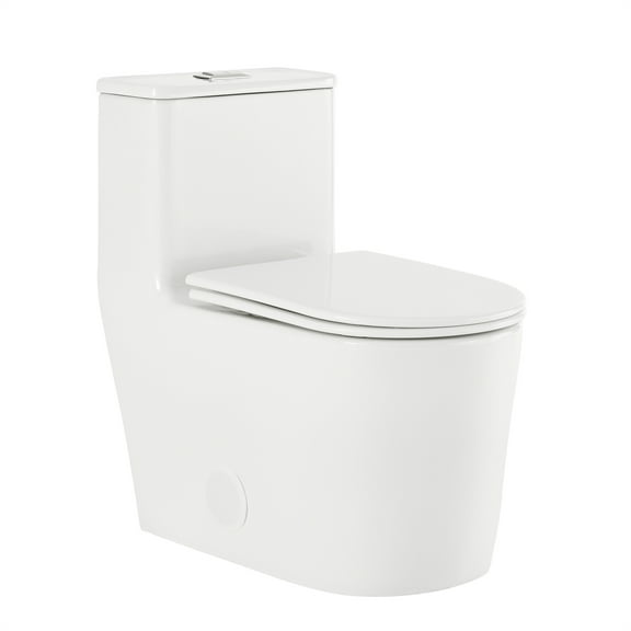 Nice One-Piece Elongated Toilet Dual-Flush 1.1/1.6 gpf