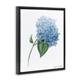 thumbnail image 3 of Stupell Industries Hydrangea Stem In Bloom Black Framed Floater Canvas Wall Art design by Danielle Murray, 21 x 17, 3 of 9