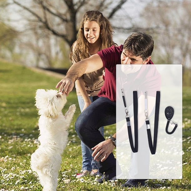 Silbatos Ultrasónicos Para Perros, Silbato Silencioso Para Perros, Ligero, Control De Ladridos, Fácil Entrenamiento, Ruidoso Para Entrenamiento De Mascotas