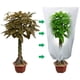 thumbnail image 4 of Billuyoard Caseta transpirable para la conservación de plantas, ideal para el frío invernal y las heladas. Jardín y Patio 140 cm x 200 cm, 4 of 6