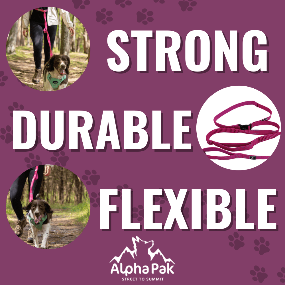 Alpha Pak | Cascades Stretchable Runner Dog Leash | Hands-Free | Reflective | Durable | 6-10 ft. Stretched | Plum
