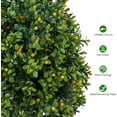 thumbnail image 6 of Accreate Artificial Topiary Plants, Fake Boxwood Ball Trees Outdoor and Indoor, Faux Greenery for Home Decor, 20 Inch-with Fruit, 2pcs, 6 of 7