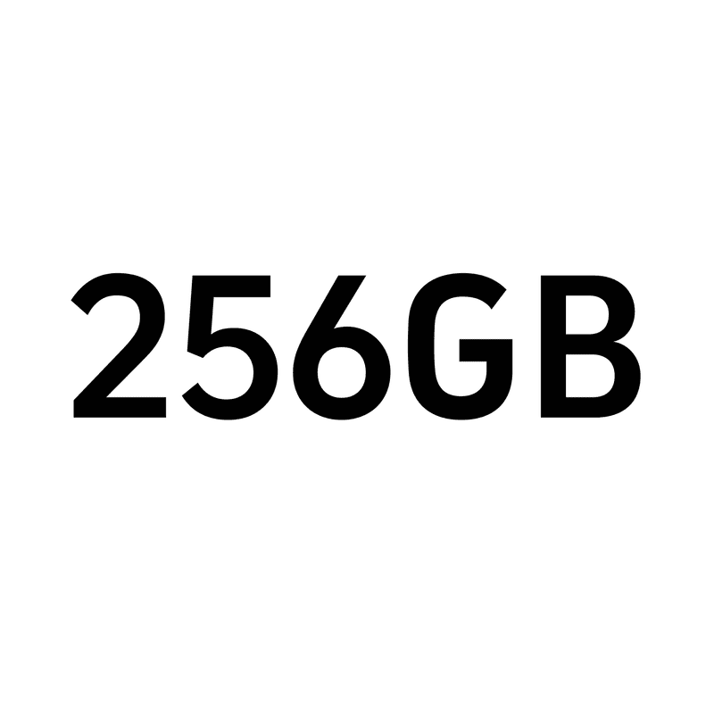 256 GB