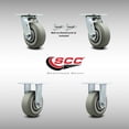 thumbnail image 2 of 5 Inch SS TPR Flat Tread Caster Set with Delrin Bearings 2 Swivel Locks 2 Rigid, 2 of 2