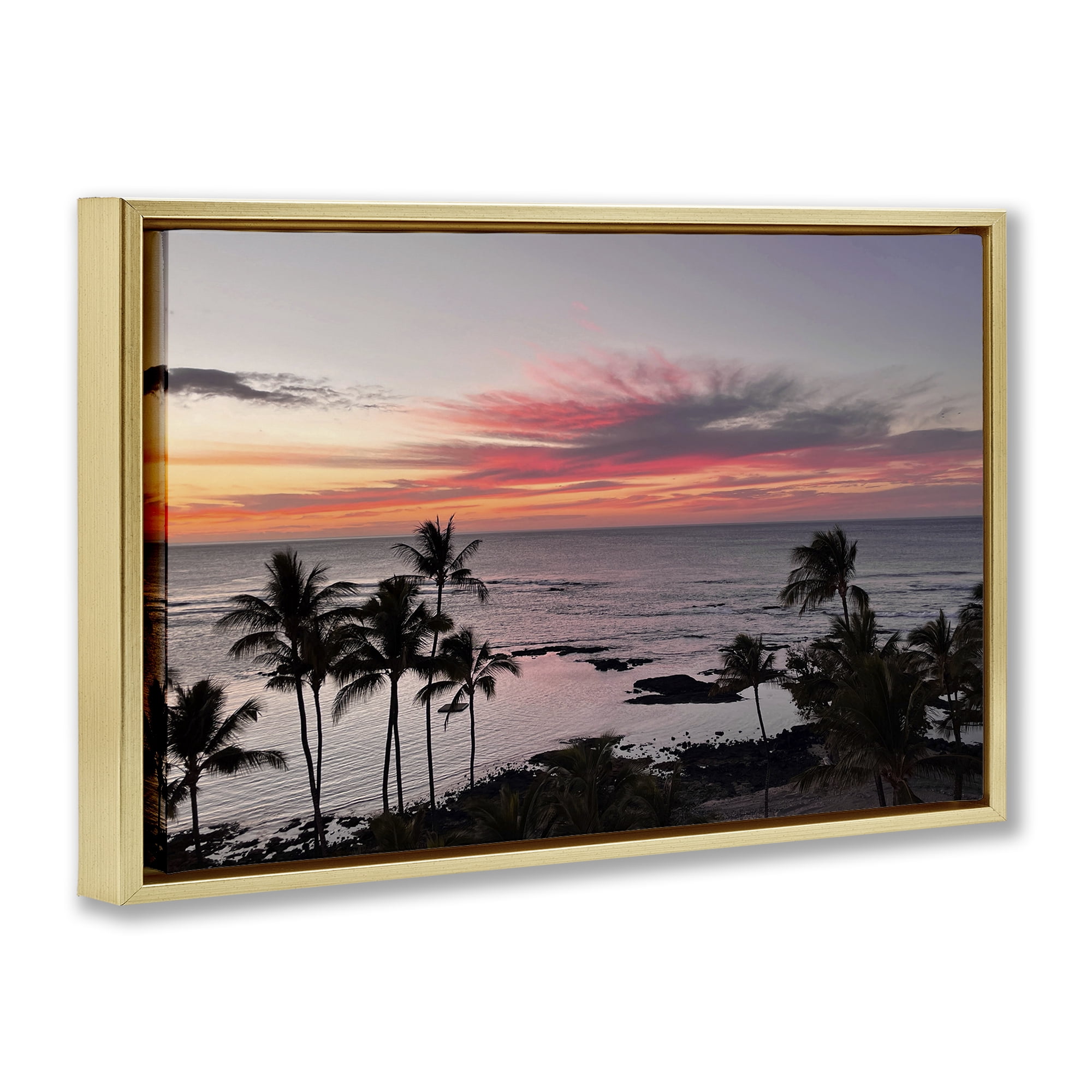Stupell Industries Fierce Sunset View Landscape Photography Gold Floater Framed Canvas Art Print Wall Art, 25 x 17