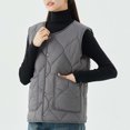 thumbnail image 3 of Women's Plus Size Quilted Puffer Vest - Button Up Sleeveless Down Jackets Warm Winter Gilet Outerwear, 3 of 5