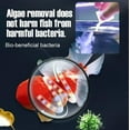 thumbnail image 4 of Dvkptbk Algae Removal Powdr Biological Water Purifying Powder 300ml Tools&Home Improvement Home Essentials, 4 of 6