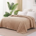 Exclusivo Mezcla Twin Size Flannel Fleece Blanket, 60x80 Inches