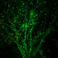 thumbnail image 3 of Proyector láser de luces navideñas con luces de jardín Firefly Star, 3 of 7