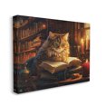 thumbnail image 4 of Stupell Industries Cat Reading by Candlelight Animals & Insects Painting Gallery Wrapped Canvas Art Print Wall Art, 20 x 16, 4 of 8