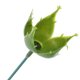 thumbnail image 3 of Greenadscape 50Jgo Accesorios De Rosas Artificiales Con Sépalos Y Base Para Ramos Y Manualidades, 3 of 8