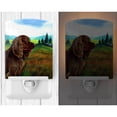 thumbnail image 2 of Caroline's Treasures 7122CNL Sussex Spaniel Ceramic Night Light, 6x4x3", multicolor, 2 of 2