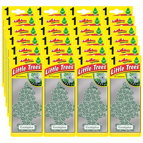 Little Trees EUCALYPTUS Car Air Freshener Hanging Scent for Home Room Office (24-Pack)