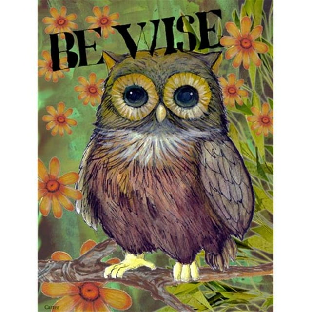 Carolines Treasures PJC1029GF Be Wise Owl Flag Garden Size