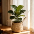 thumbnail image 7 of Meggemo Woven Grass Planter Basket with Handles for Potted Plants Floral Arrangements Storage Bin Natural Fiber Home Decor Accent, 7 of 7