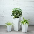 thumbnail image 3 of Root & Vessel Ella Tall Planter, White, 13.5", 3 of 4