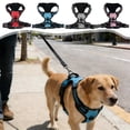 thumbnail image 1 of Arnés reflectante para perros, chaleco antiexplosiones, arnés para mascotas de tamaño medio grande con asa, correa de malla ajustable sin tirar, entrenamiento nocturno para pasear Rojo azul gris, 1 of 6