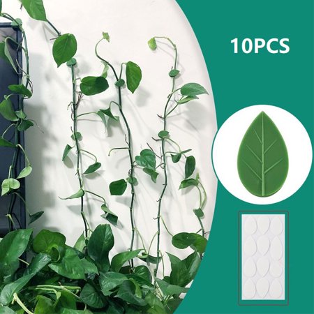 10pcs Plant Fixture Clip Plant Climbing Wall Self-Adhesive Fastener Tied Fixt WA