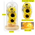 thumbnail image 4 of Girasol en cúpula de cristal, regalos para mujer, flor encantada con luz LED, regalo encantado para mujer el día de Navidad, día de la madre, 4 of 5