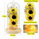 thumbnail image 4 of Girasol en cúpula de cristal, regalos para mujer, flor encantada con luz LED, regalo encantado para mujer el día de Navidad, día de la madre, 4 of 5